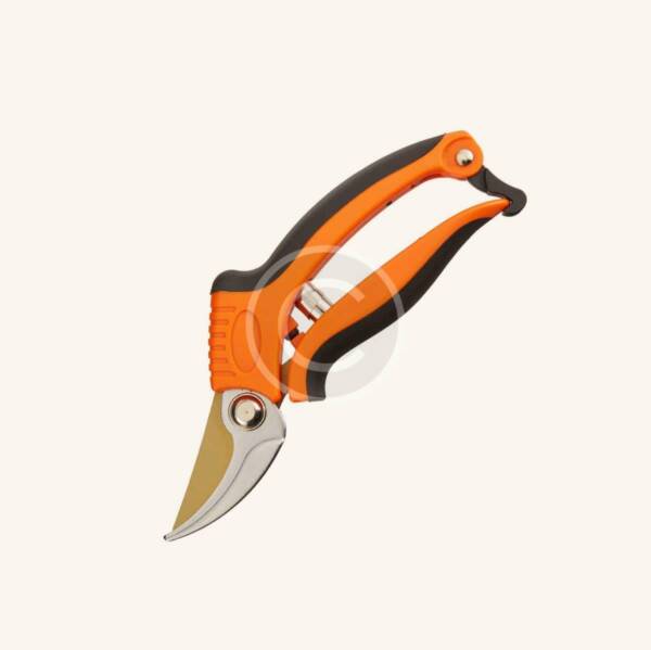 Pruning Shear